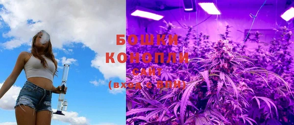 бошки Осташков