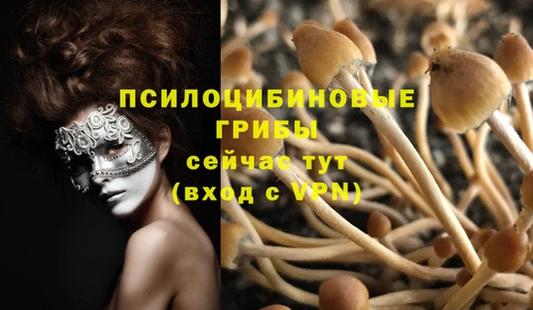 бошки Осташков