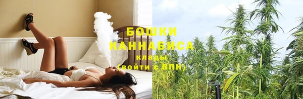 индика Остров