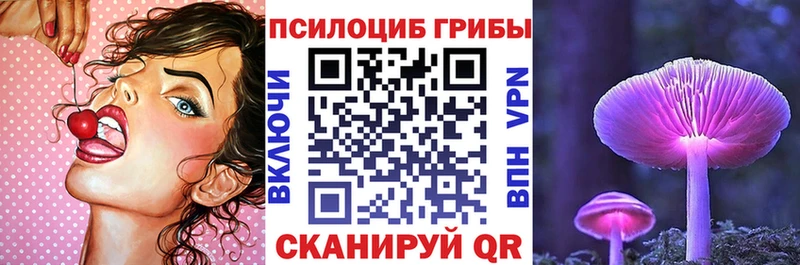 Псилоцибиновые грибы Cubensis  Сургут 